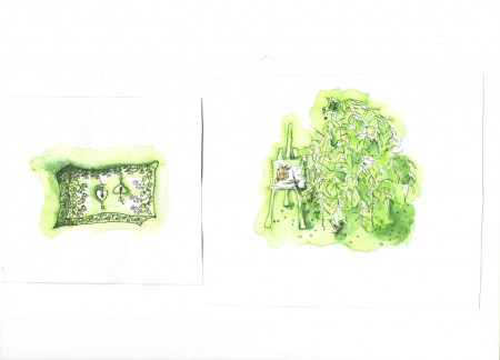 Plugen - Rózsát rajzoló fűz